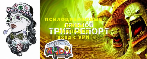 эйфоретик Абаза